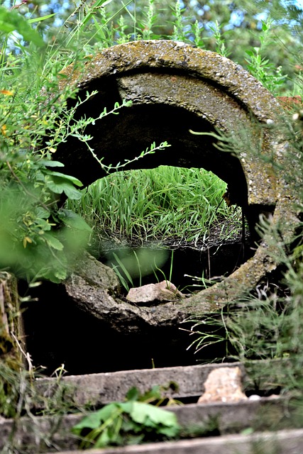 drainage