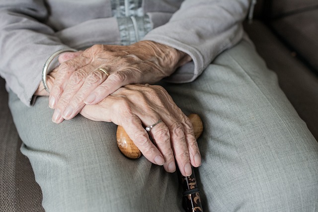 Elderly Companion Services: Combating Loneliness Through Social Connections