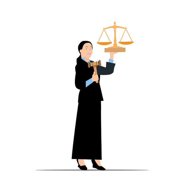 lawyer