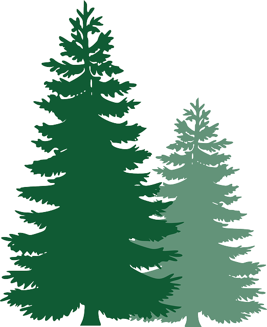 trees