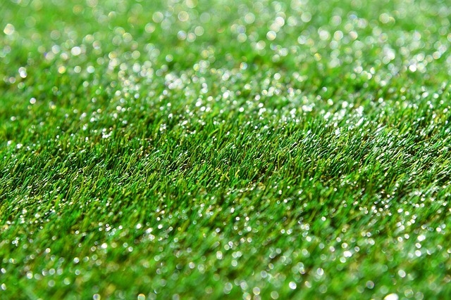 artificial turf