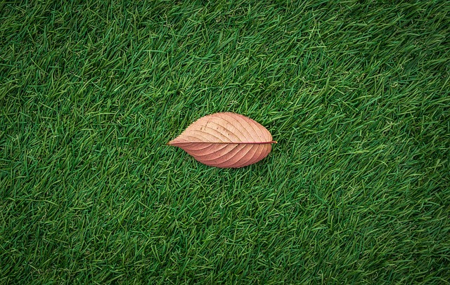 artificial turf