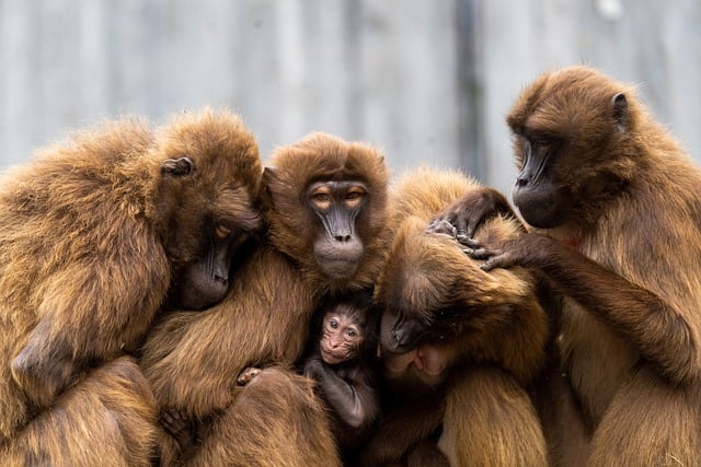 family law