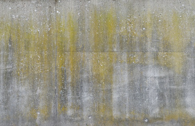 stained concrete