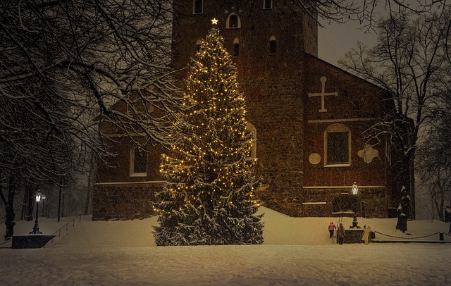 tree