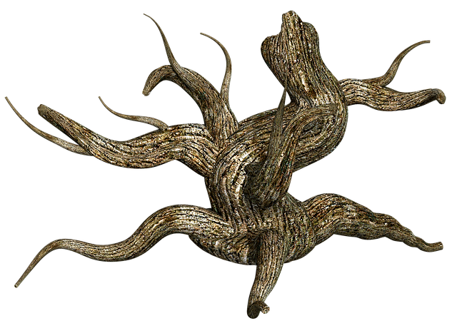 tree stump