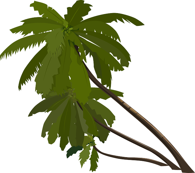 trees