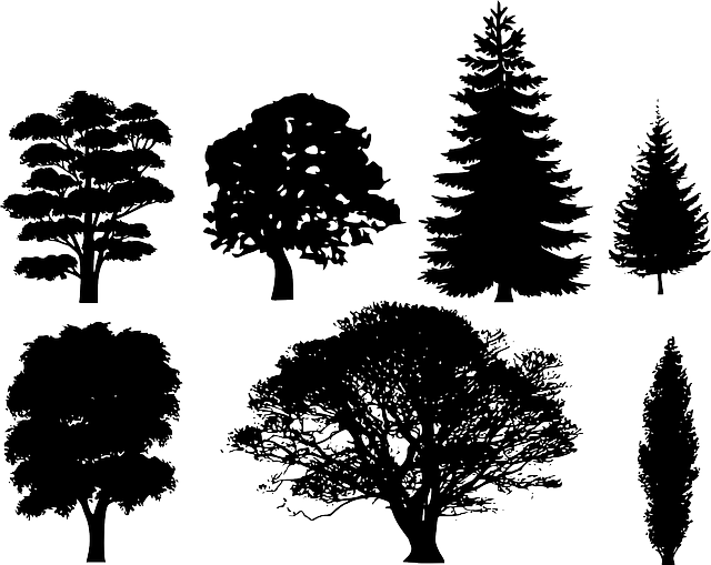 trees