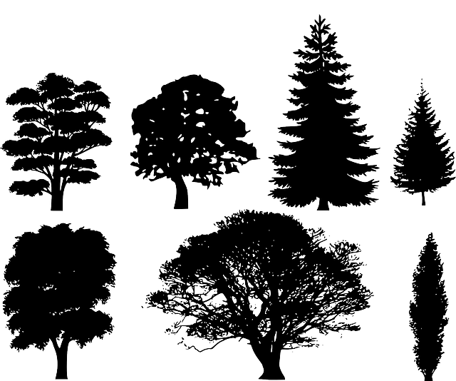 trees