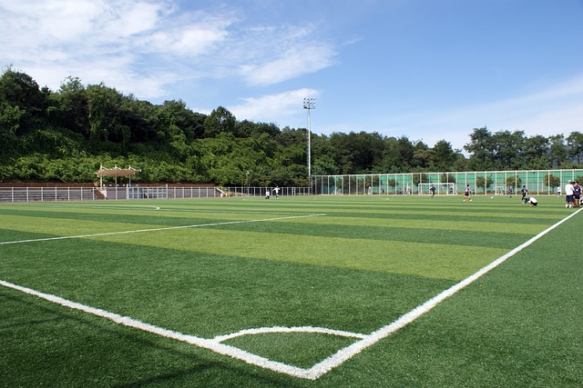 artificial turf
