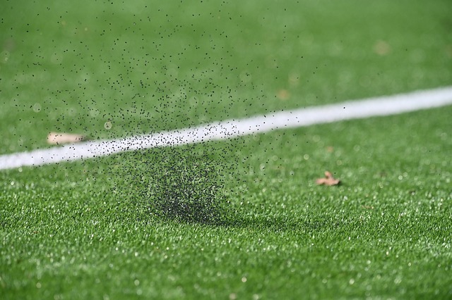 artificial turf
