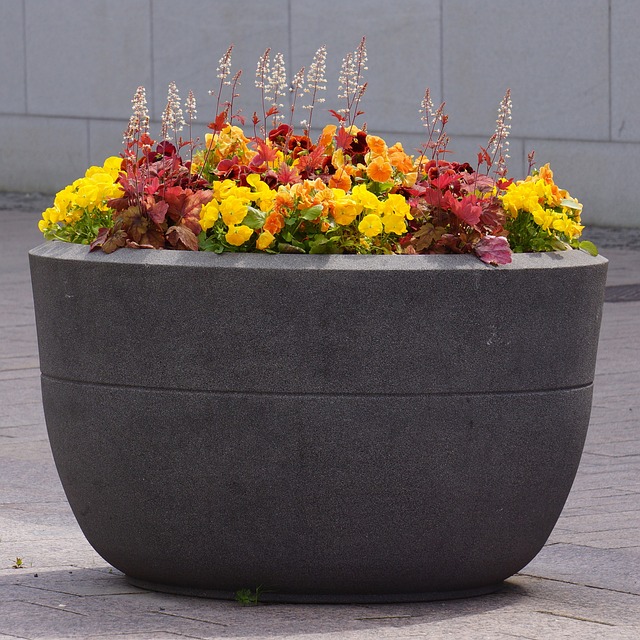 decorative concrete