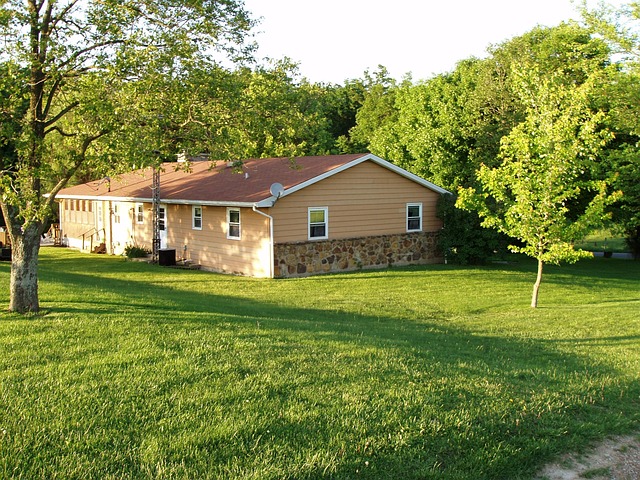 lawn