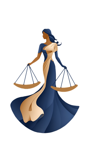 lawyer