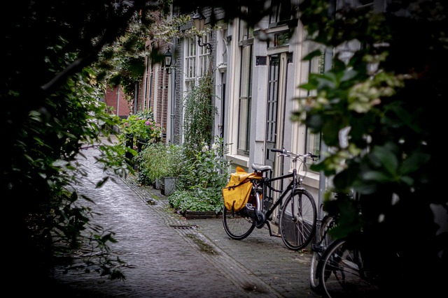 sidewalk