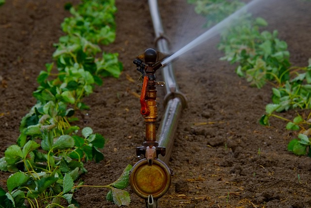 sprinklers