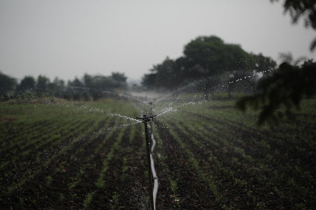 sprinklers