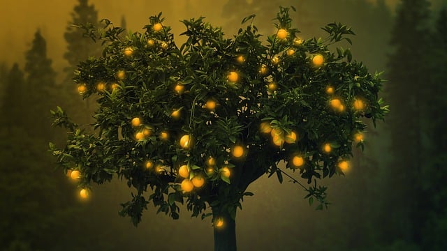tree