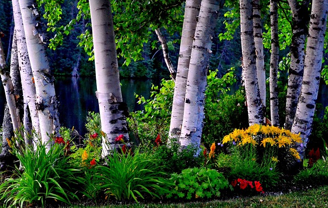 trees