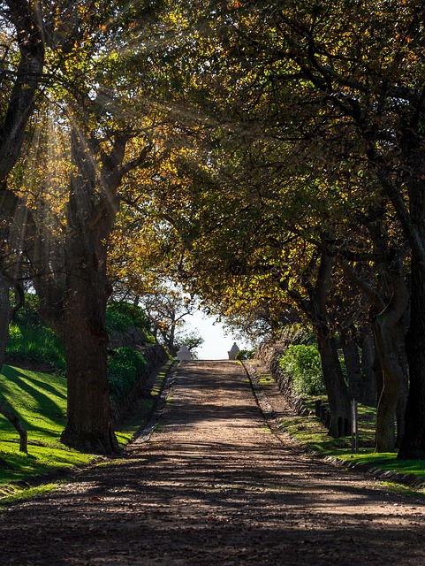 driveway