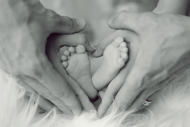 family law