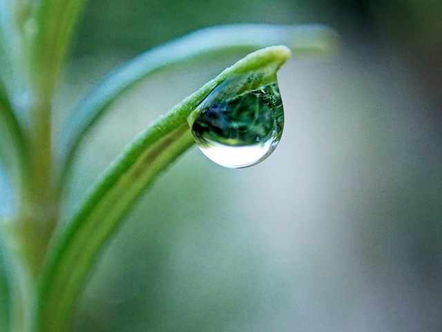 iv-drip-640x480-3095346.jpeg