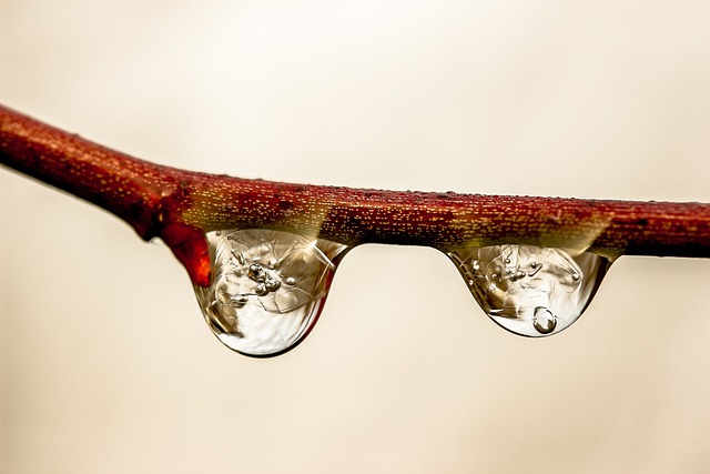 iv-drip-640x480-78598904.jpeg