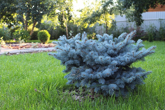 landscaping