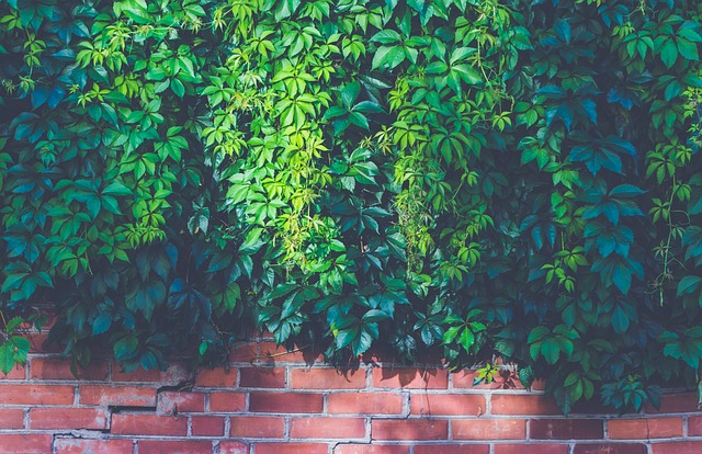 retaining wall