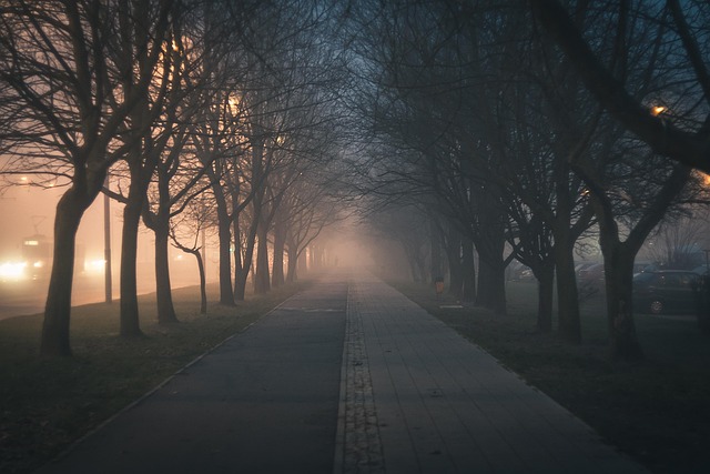 sidewalk