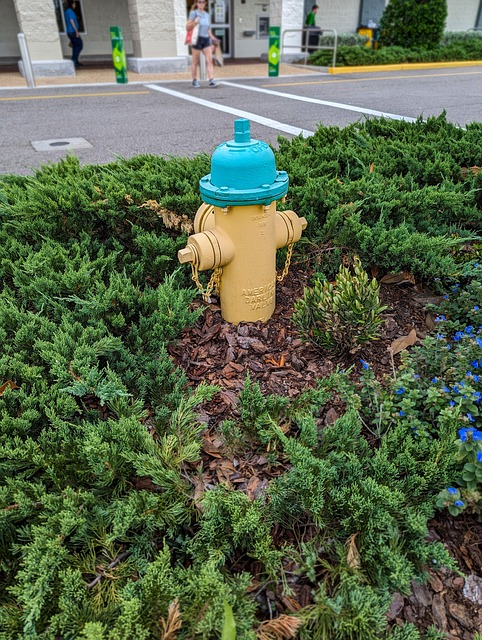 sidewalk