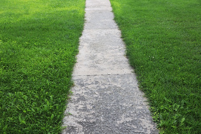 sidewalk