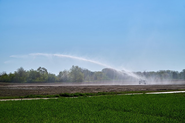 sprinklers