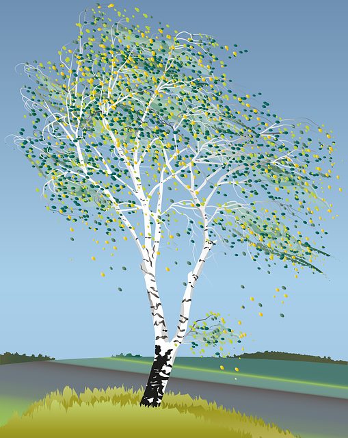 tree