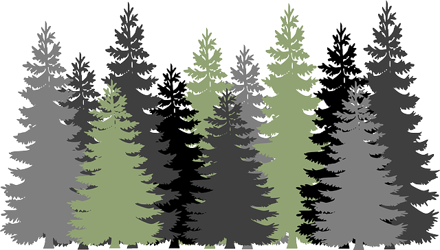 trees-640x480-88561495.png