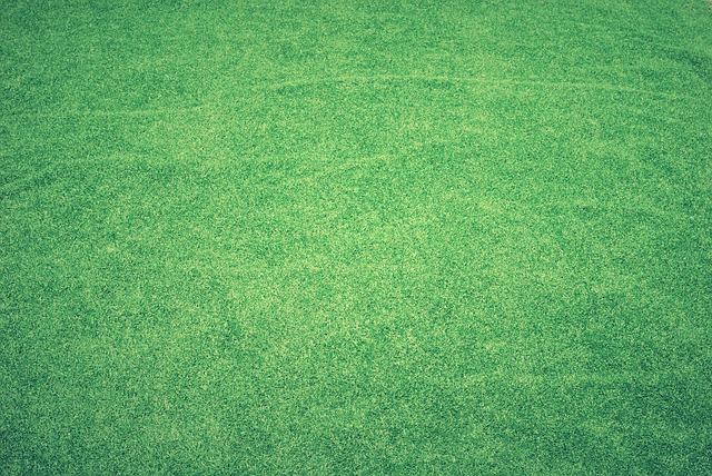 artificial turf