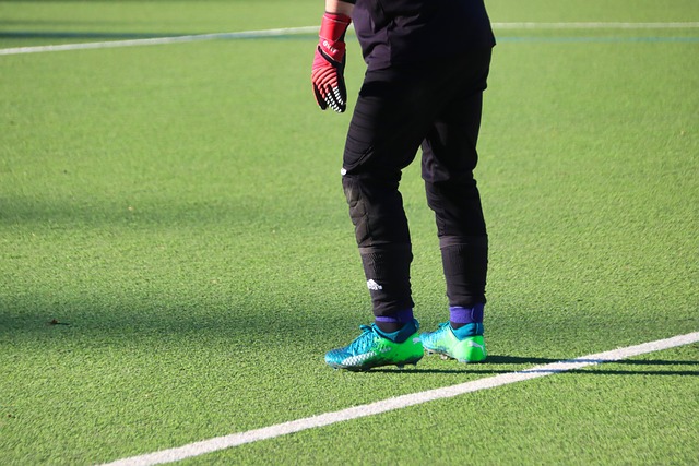 artificial turf