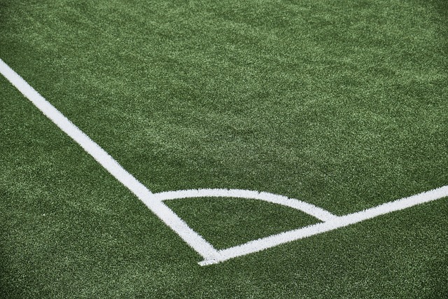 artificial turf