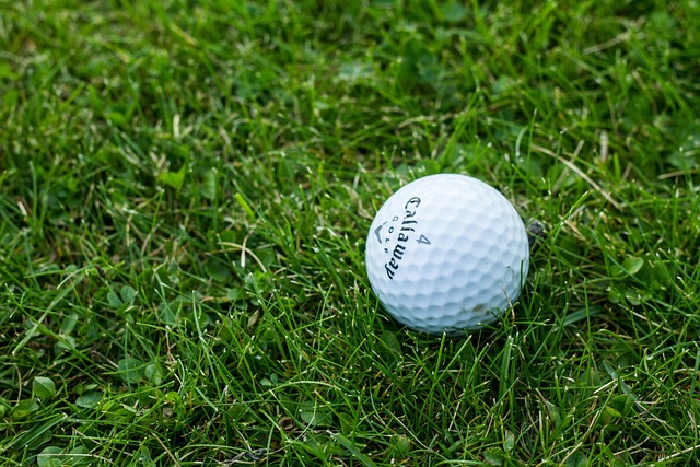 artificial turf