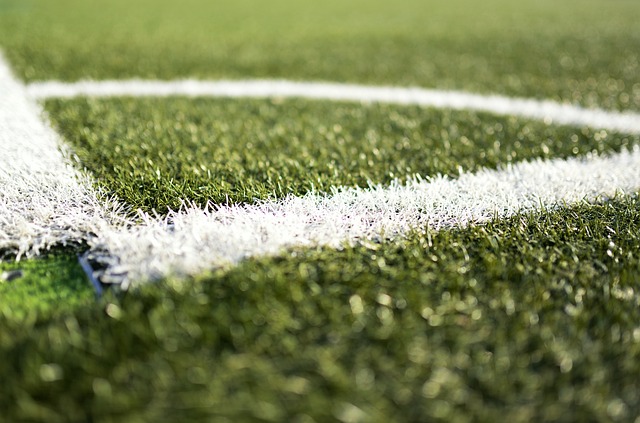 artificial turf