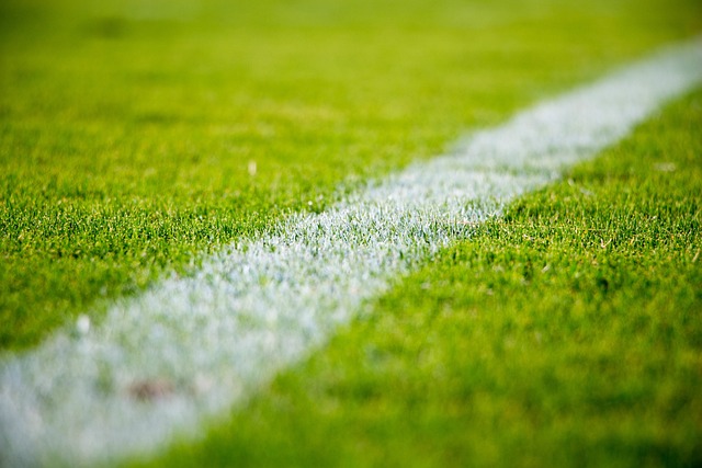 artificial turf