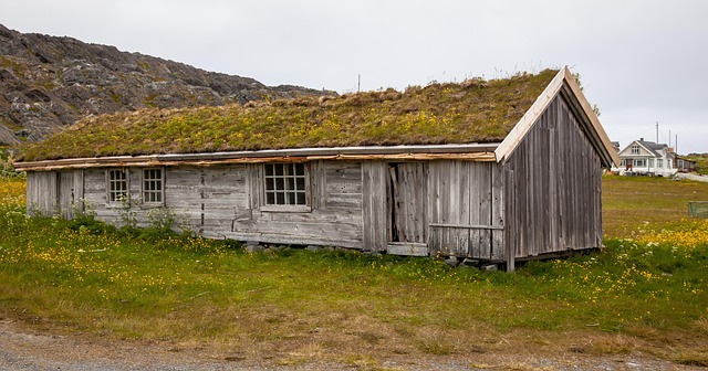 artificial-turf-640x480-37653517.jpeg