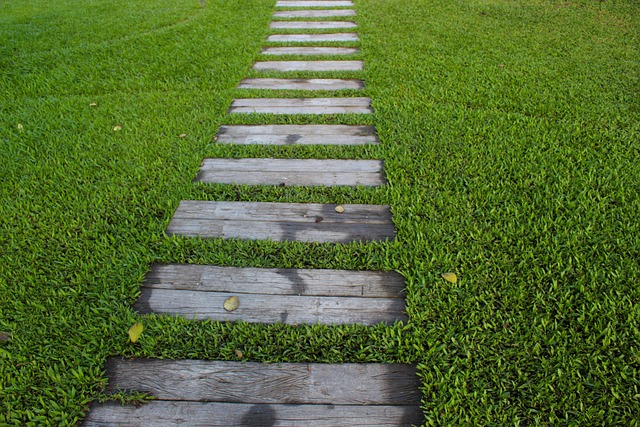 artificial-turf-640x480-49400.jpeg