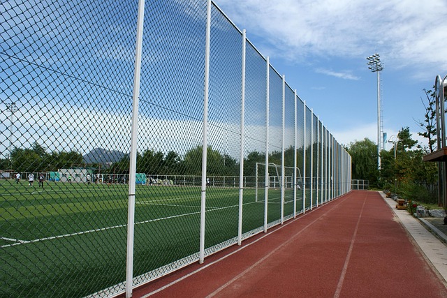 artificial turf