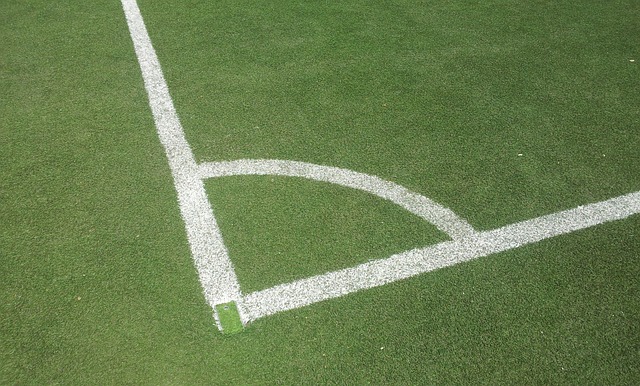 artificial-turf-640x480-61175271.jpeg