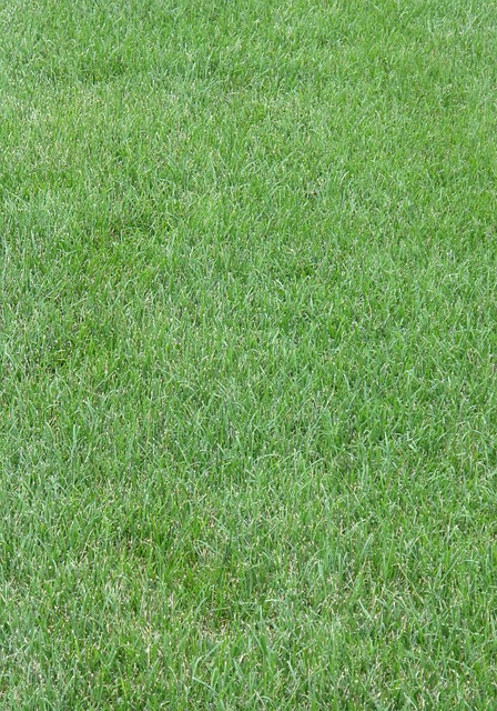 artificial turf