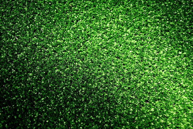 artificial turf