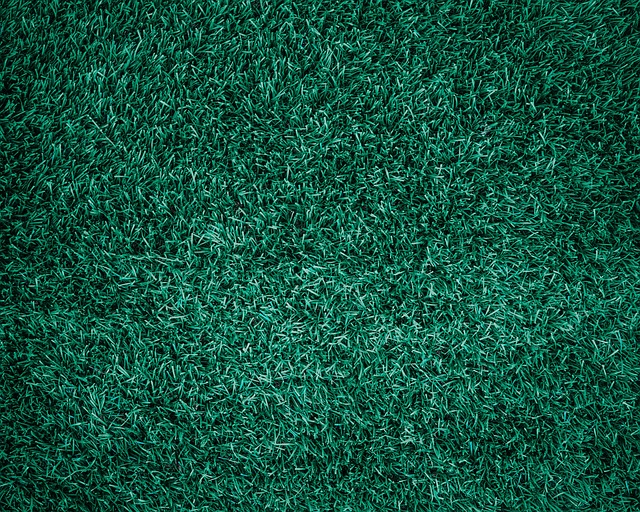 artificial turf