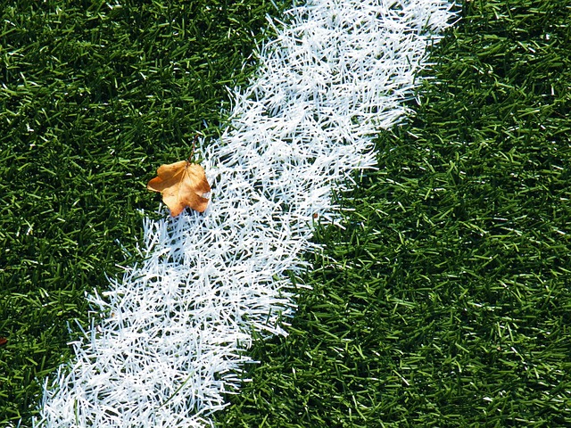 artificial turf