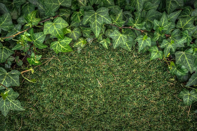 artificial turf